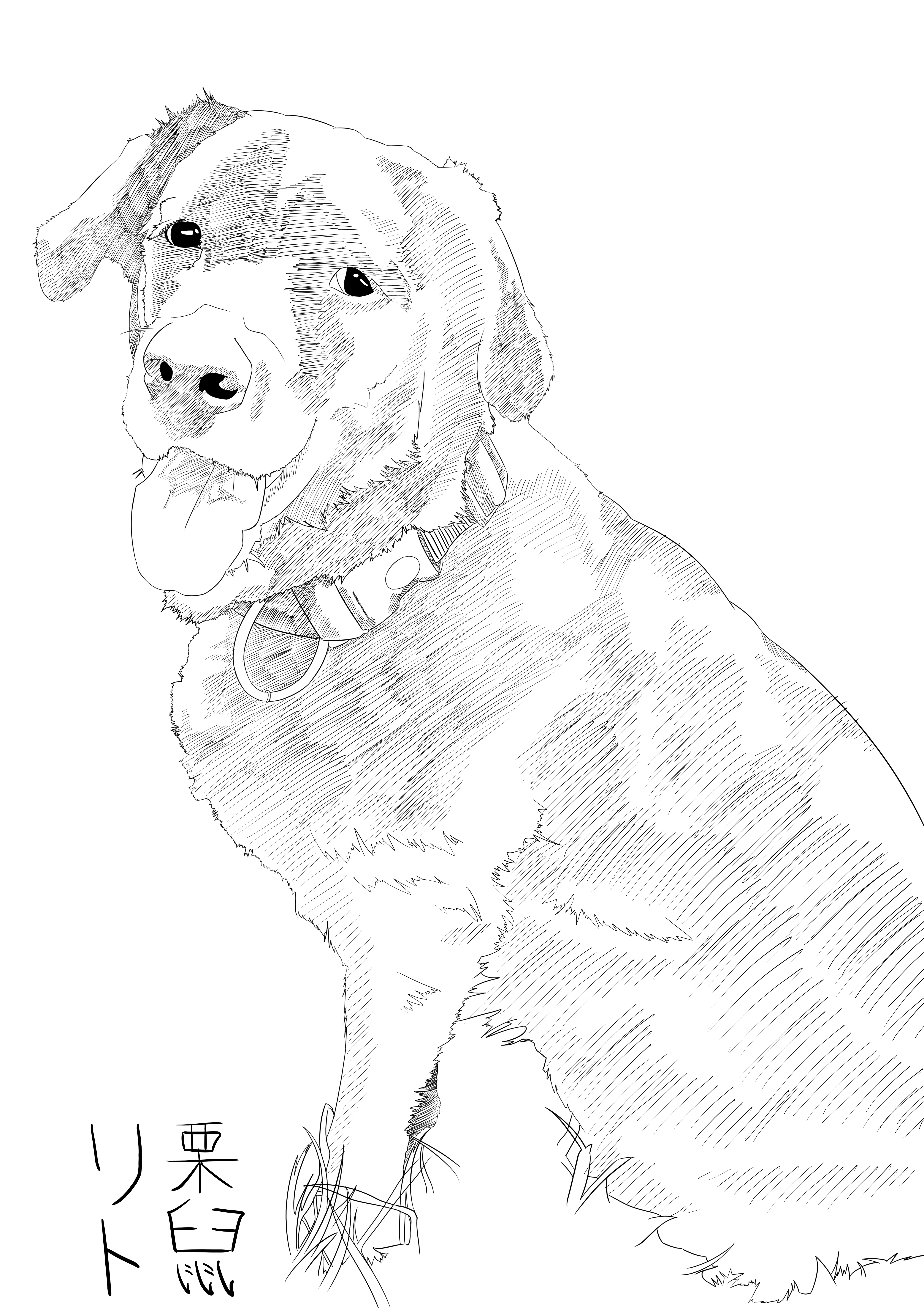 Artwork 2